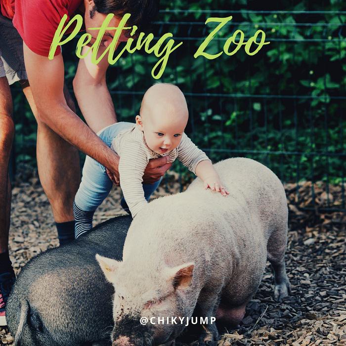 Petting Zoo, Party Entertainments